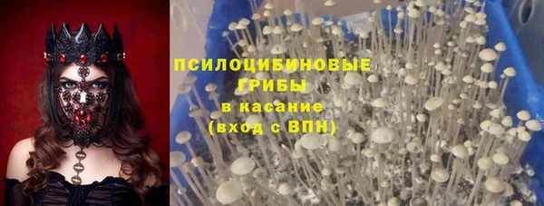 мяу мяу мука Покров