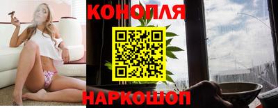 меф Гатчина