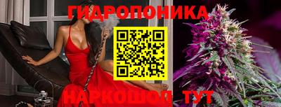 сатива Волгодонск