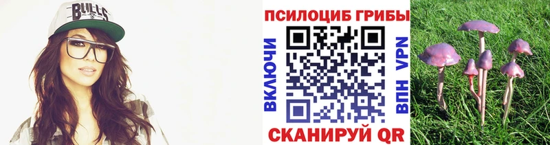 Галлюциногенные грибы Cubensis  Ивантеевка 