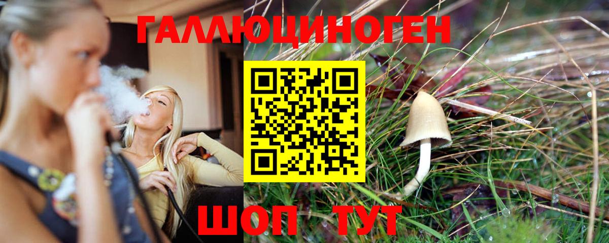 Псилоцибиновые грибы GOLDEN TEACHER Ивантеевка